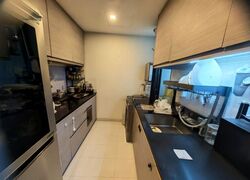 Bellewoods (D25), Condominium #501063541